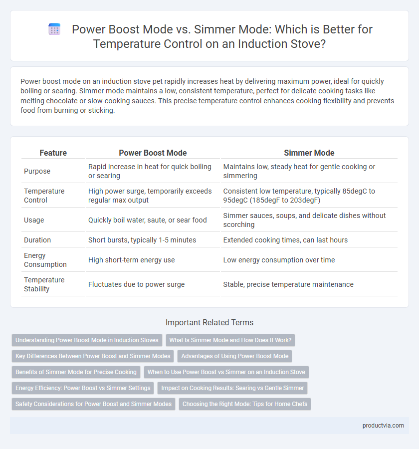 Power Boost Mode vs. Simmer Mode: Which is Better for Temperature Control on an Induction Stove?