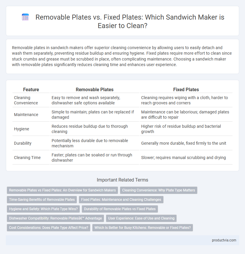 Removable Plates vs. Fixed Plates: Which Sandwich Maker is Easier to Clean?