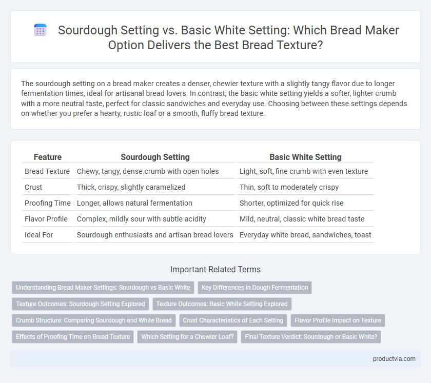 Sourdough Setting vs. Basic White Setting: Which Bread Maker Option Delivers the Best Bread Texture?