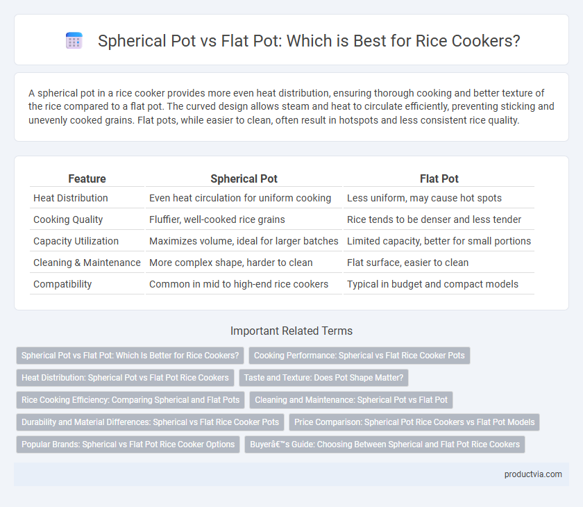 Spherical Pot vs Flat Pot: Which is Best for Rice Cookers?