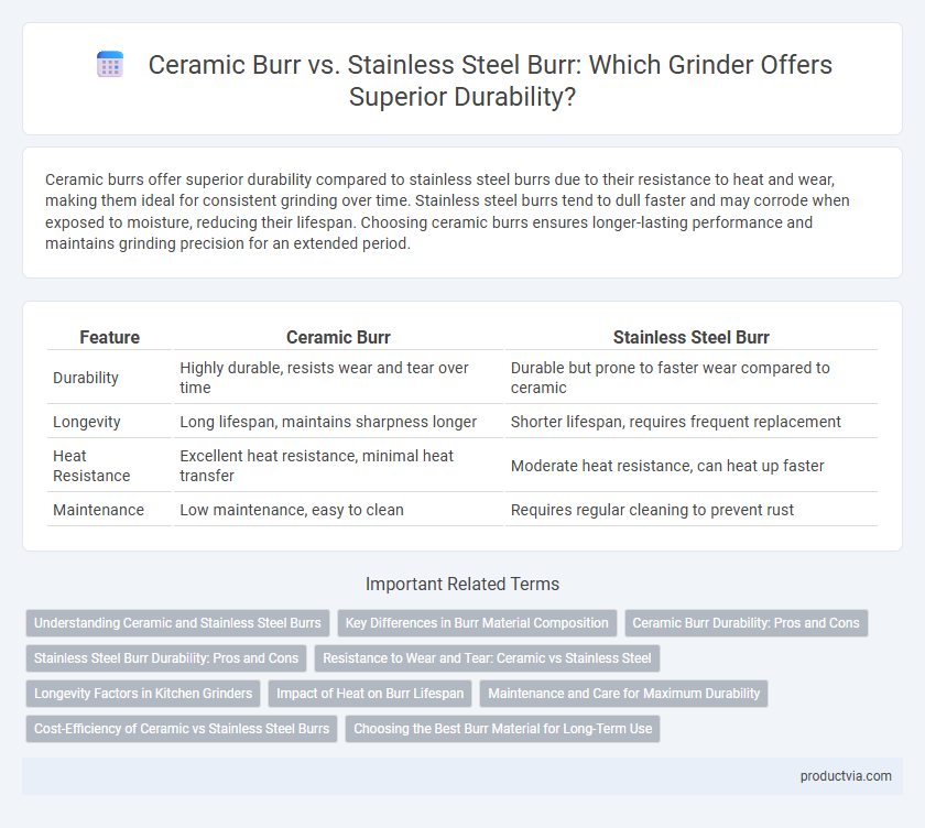 Ceramic Burr vs. Stainless Steel Burr: Which Grinder Offers Superior Durability?