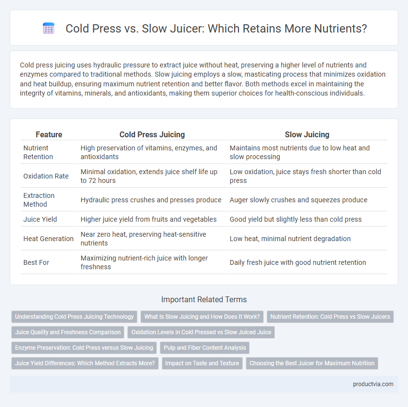 Cold Press vs. Slow Juicer: Which Retains More Nutrients?