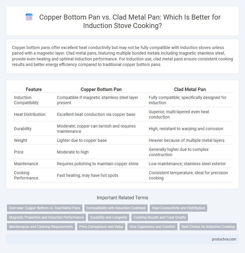 Copper Bottom Pan vs. Clad Metal Pan: Which Is Better for Induction Stove Cooking?