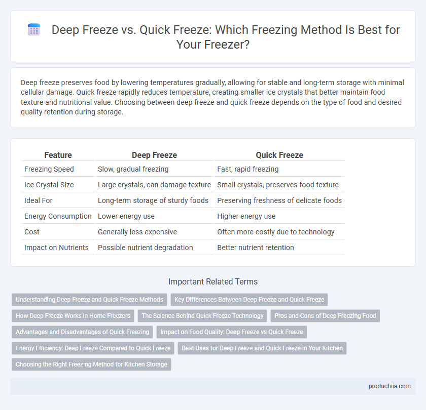 Deep Freeze vs. Quick Freeze: Which Freezing Method Is Best for Your Freezer?