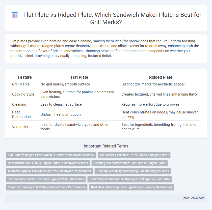 Flat Plate vs Ridged Plate: Which Sandwich Maker Plate is Best for Grill Marks?