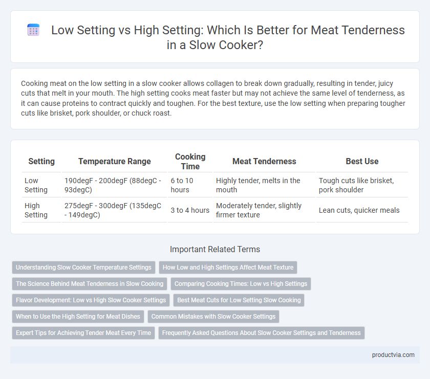 Low Setting vs High Setting: Which Is Better for Meat Tenderness in a Slow Cooker?