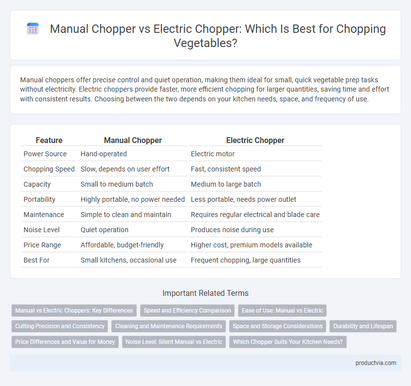 Manual Chopper vs Electric Chopper: Which Is Best for Chopping Vegetables?
