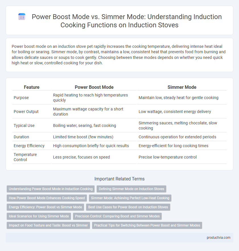 Power Boost Mode vs. Simmer Mode: Understanding Induction Cooking Functions on Induction Stoves
