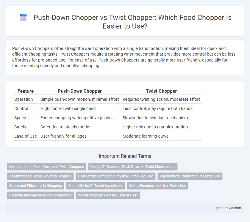 Push-Down Chopper vs Twist Chopper: Which Food Chopper Is Easier to Use?