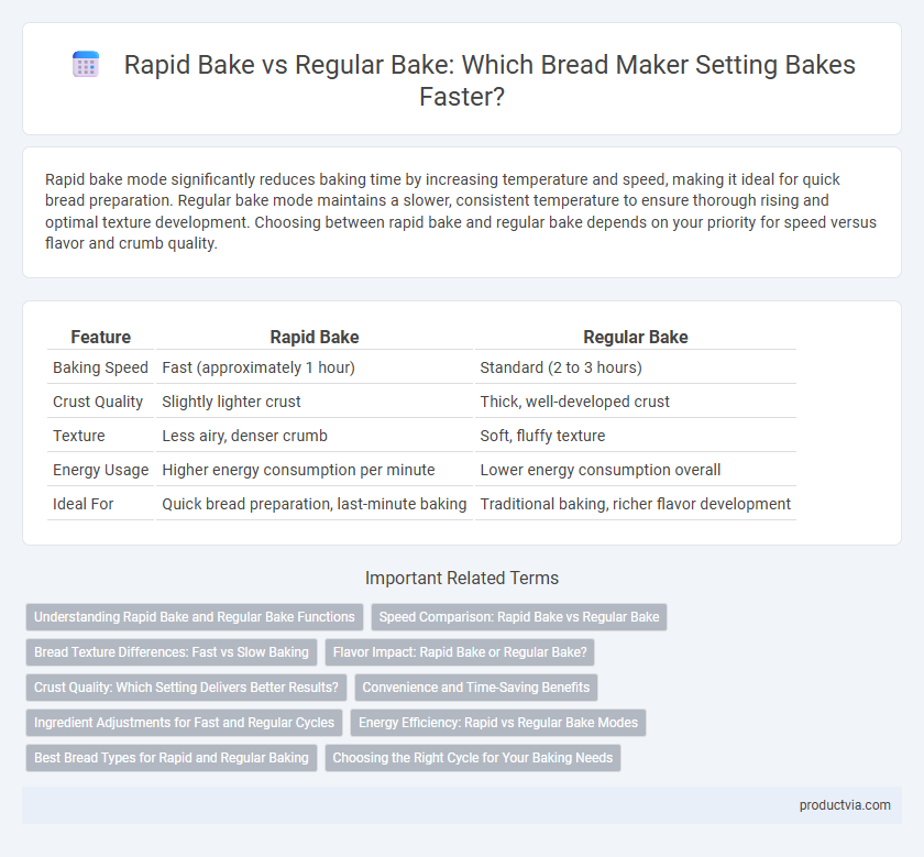 Rapid Bake vs Regular Bake: Which Bread Maker Setting Bakes Faster?