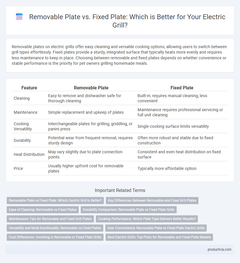 Removable Plate vs. Fixed Plate: Which is Better for Your Electric Grill?