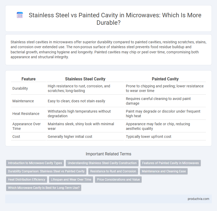 Stainless Steel vs Painted Cavity in Microwaves: Which Is More Durable?