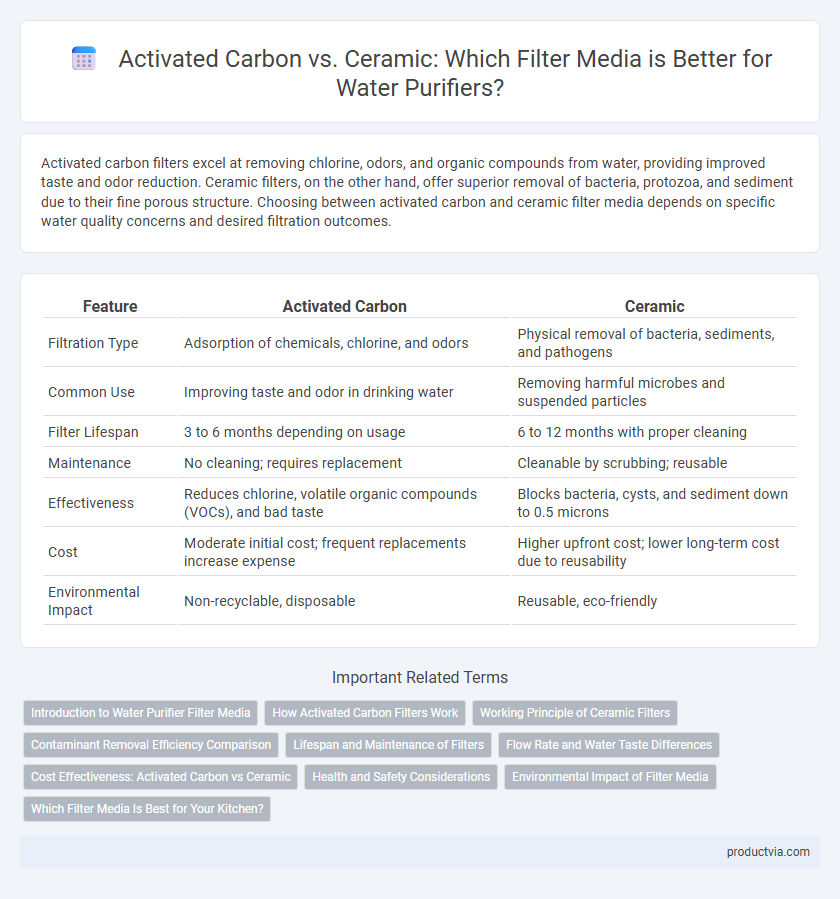 Activated Carbon vs. Ceramic: Which Filter Media is Better for Water Purifiers?
