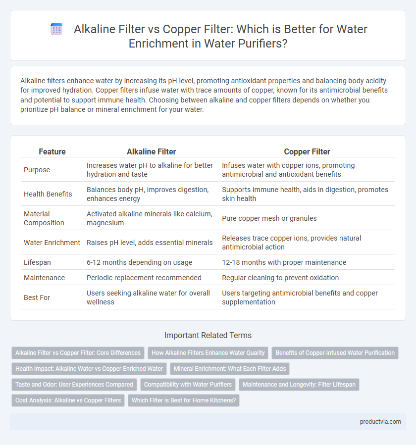Alkaline Filter vs Copper Filter: Which is Better for Water Enrichment in Water Purifiers?