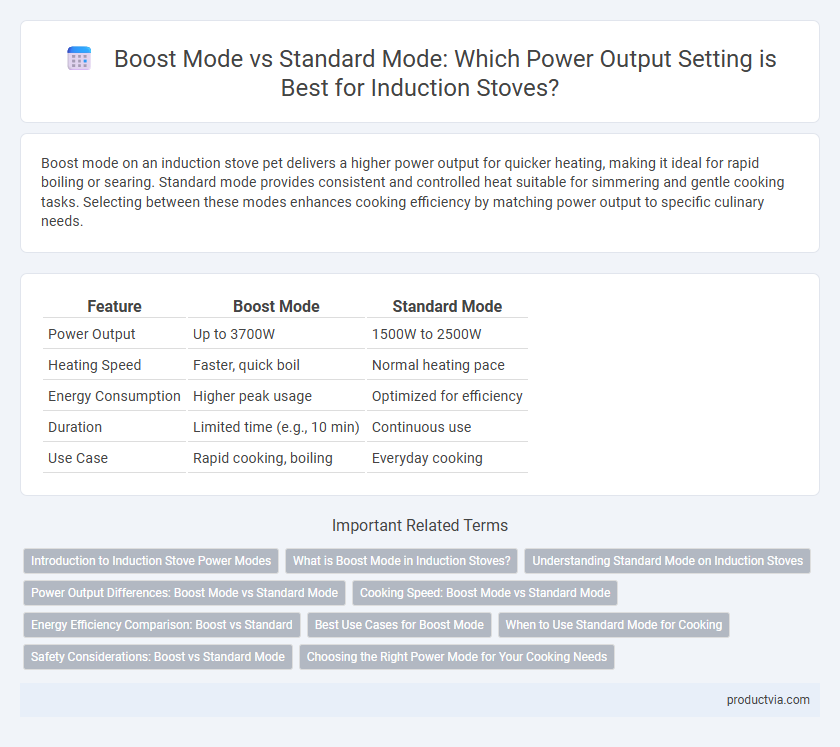 Boost Mode vs Standard Mode: Which Power Output Setting is Best for Induction Stoves?
