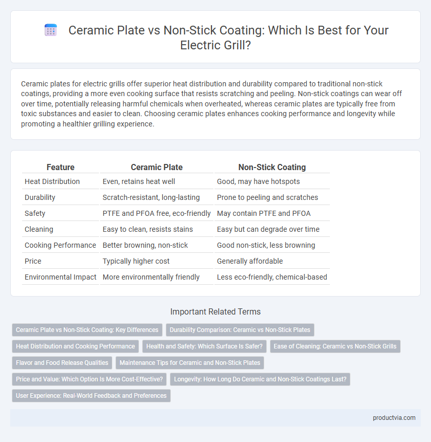 Ceramic Plate vs Non-Stick Coating: Which Is Best for Your Electric Grill?