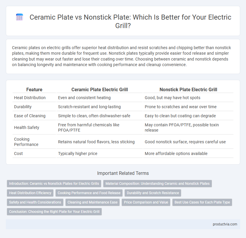 Ceramic Plate vs Nonstick Plate: Which Is Better for Your Electric Grill?