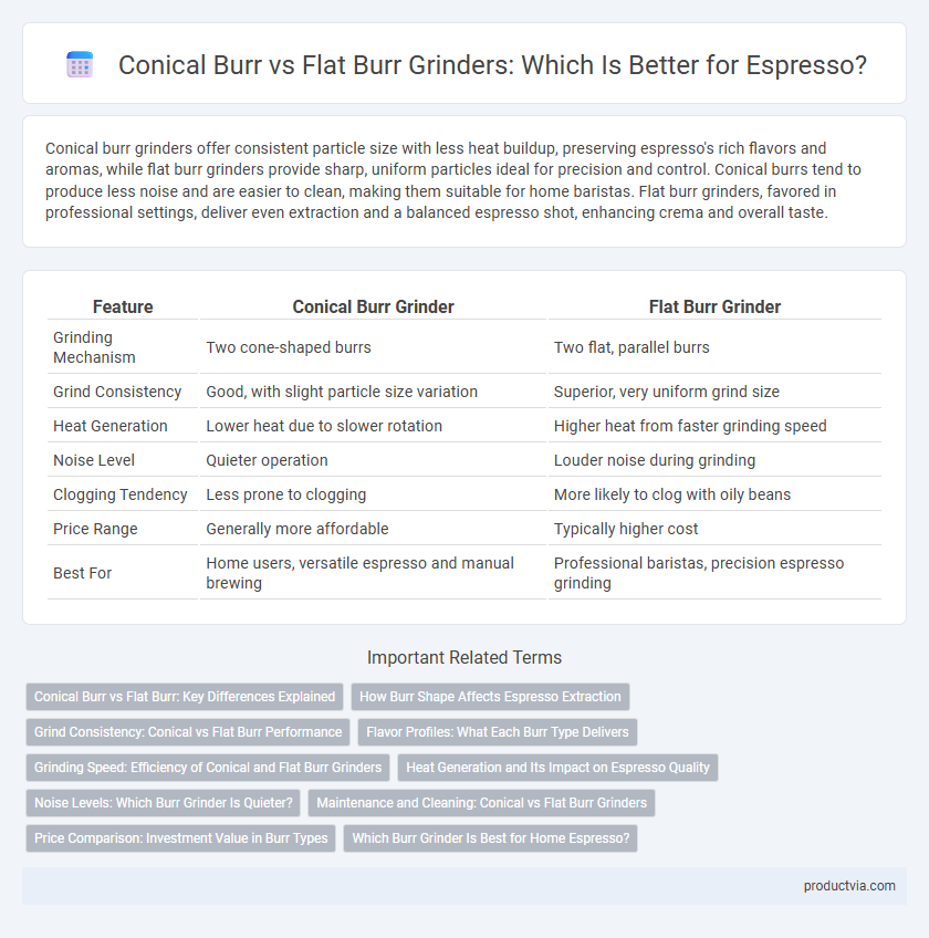 Conical Burr vs Flat Burr Grinders: Which Is Better for Espresso?
