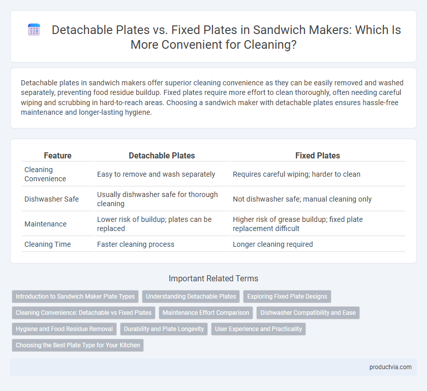 Detachable Plates vs. Fixed Plates in Sandwich Makers: Which Is More Convenient for Cleaning?