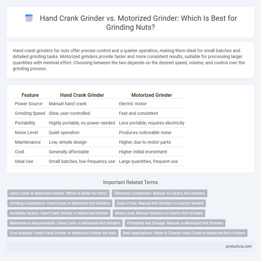 Hand Crank Grinder vs. Motorized Grinder: Which Is Best for Grinding Nuts?