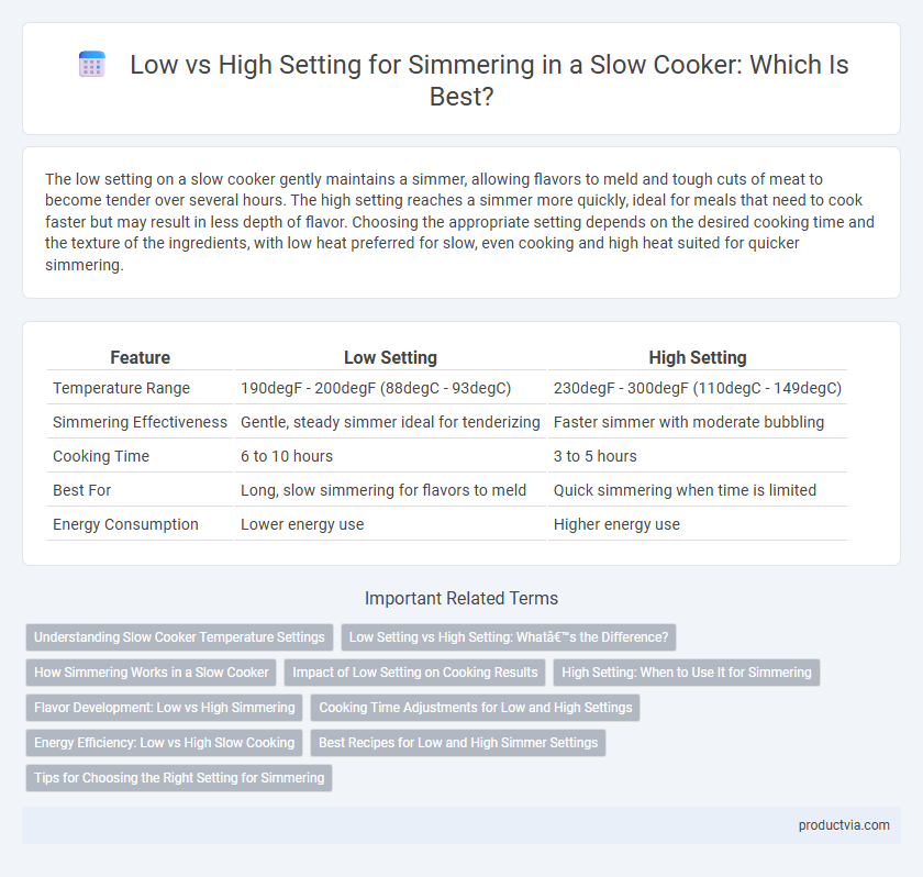Low vs High Setting for Simmering in a Slow Cooker: Which Is Best?