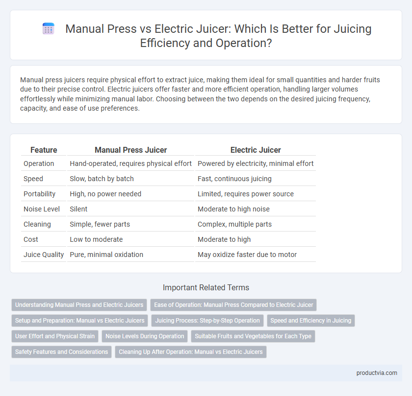 Manual Press vs Electric Juicer: Which Is Better for Juicing Efficiency and Operation?