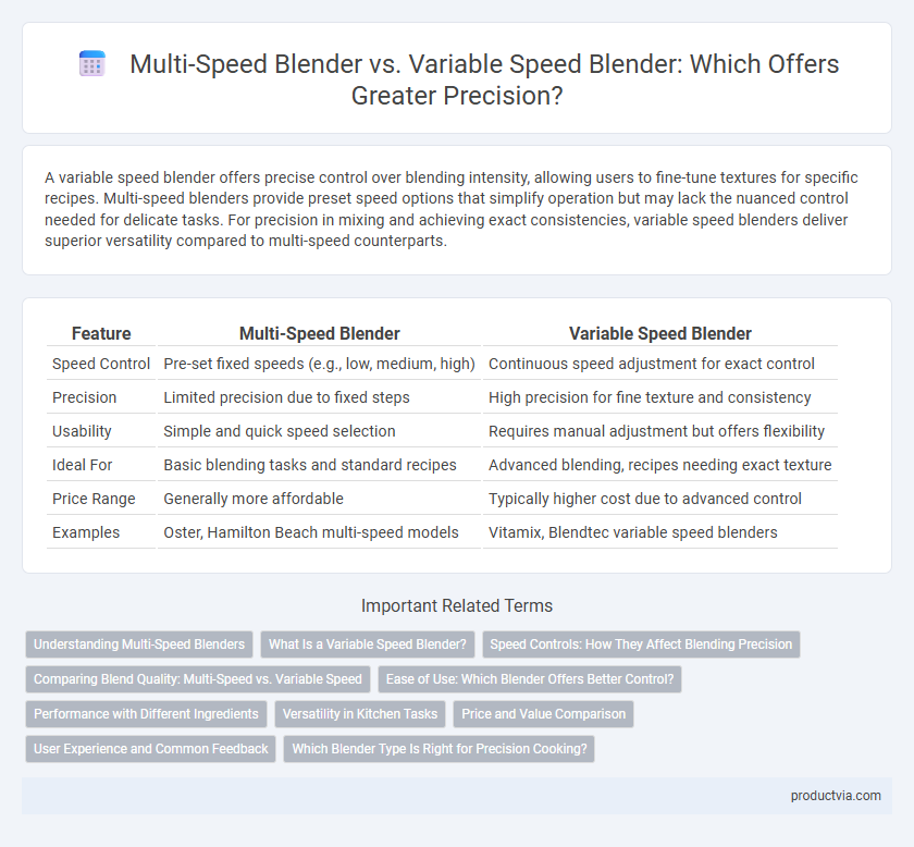 Multi-Speed Blender vs. Variable Speed Blender: Which Offers Greater Precision?