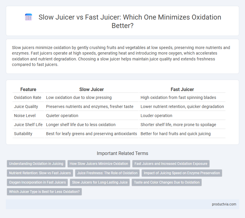 Slow Juicer vs Fast Juicer: Which One Minimizes Oxidation Better?
