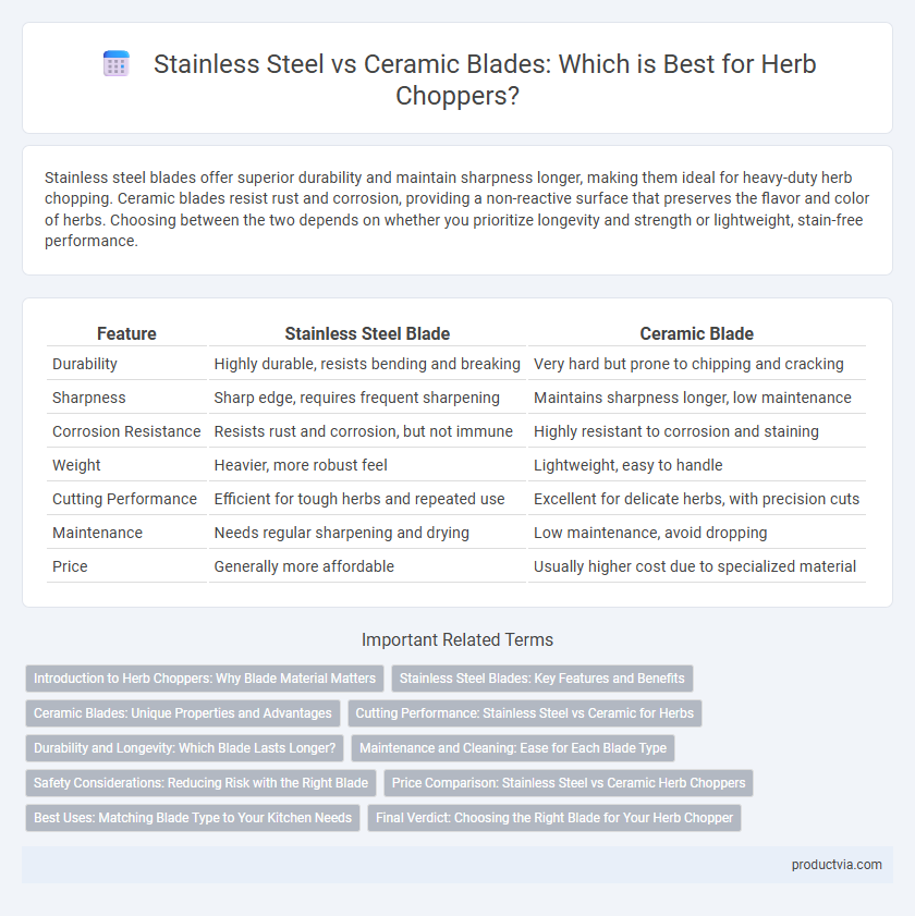 Stainless Steel vs Ceramic Blades: Which is Best for Herb Choppers?