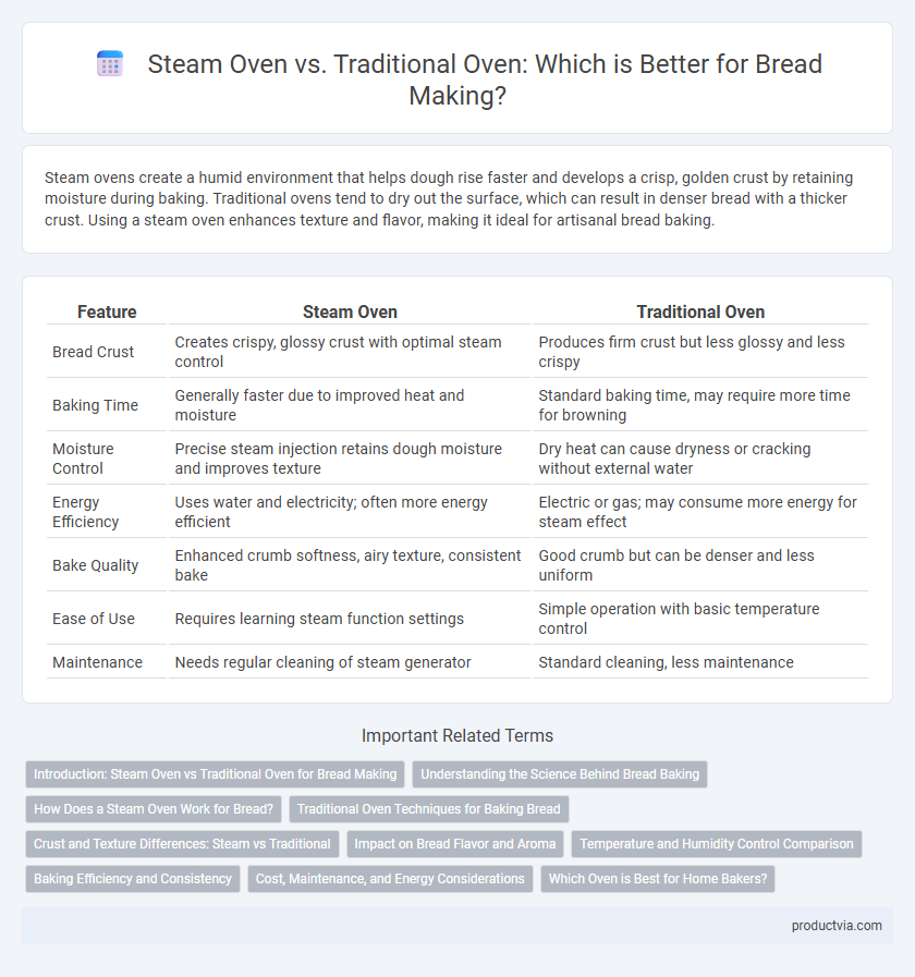 Steam Oven vs. Traditional Oven: Which is Better for Bread Making?
