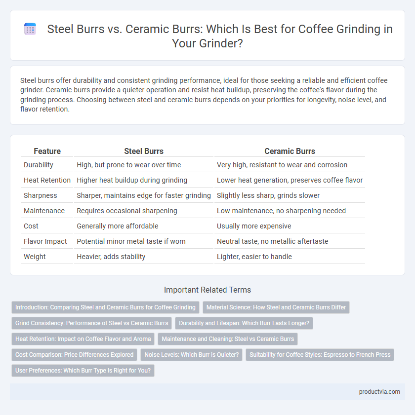 Steel Burrs vs. Ceramic Burrs: Which Is Best for Coffee Grinding in Your Grinder?