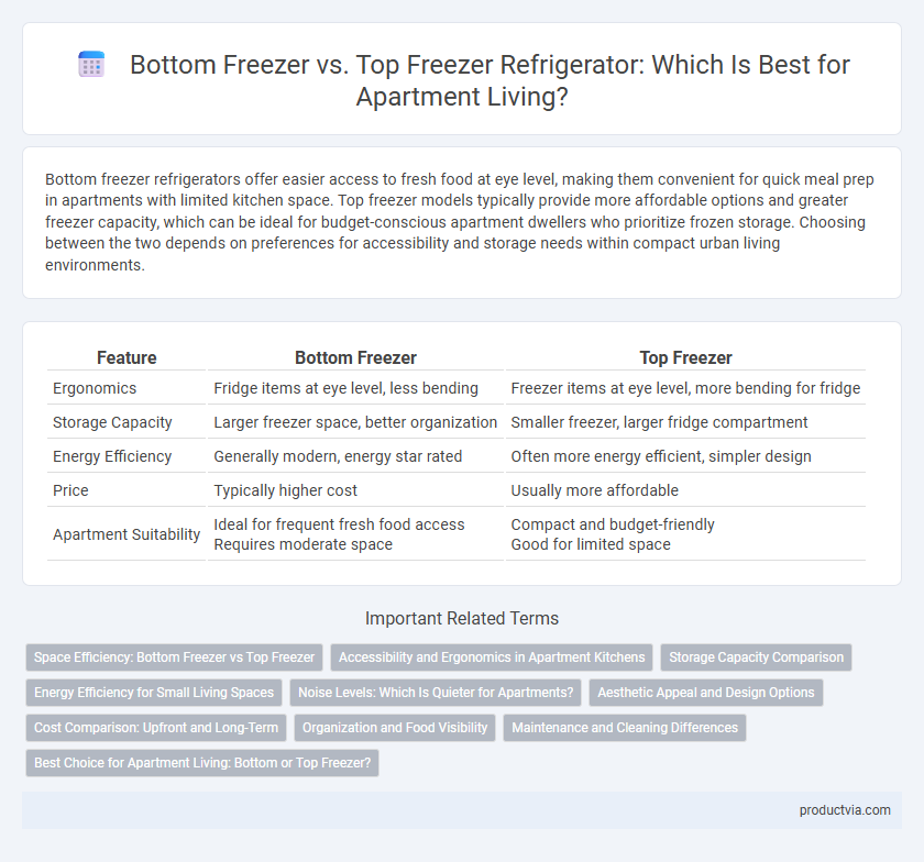 Bottom Freezer vs. Top Freezer Refrigerator: Which Is Best for Apartment Living?