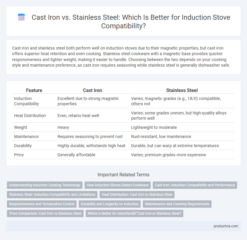 Cast Iron vs. Stainless Steel: Which Is Better for Induction Stove Compatibility?