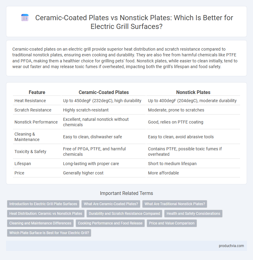Ceramic-Coated Plates vs Nonstick Plates: Which Is Better for Electric Grill Surfaces?