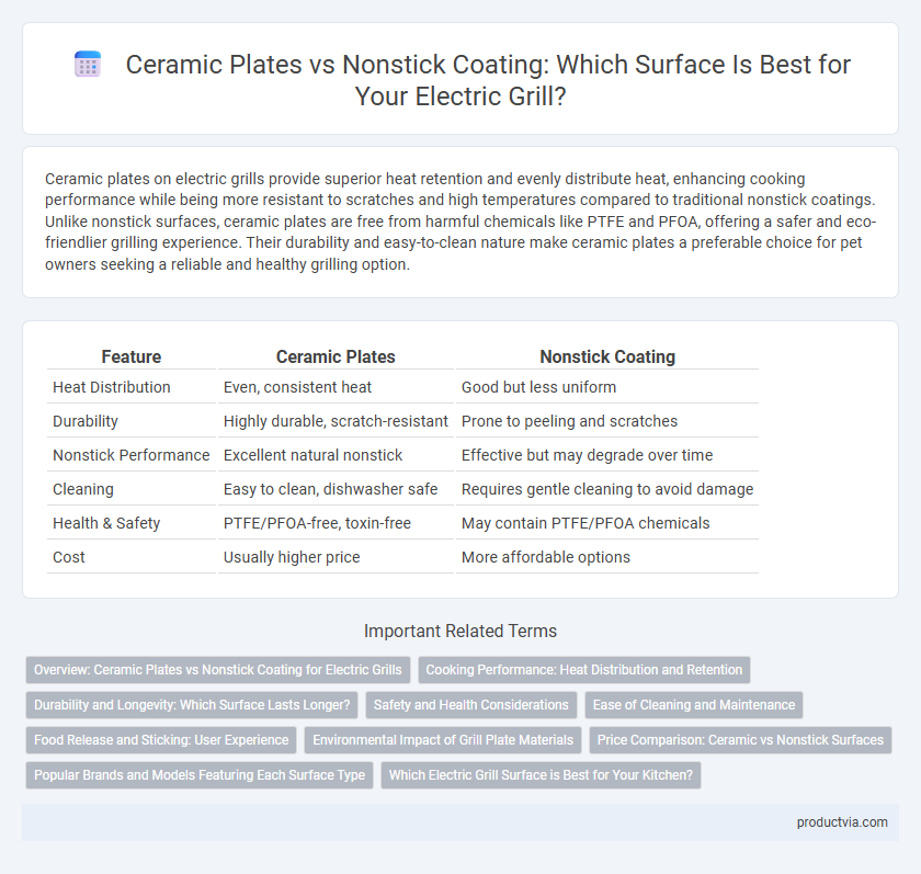 Ceramic Plates vs Nonstick Coating: Which Surface Is Best for Your Electric Grill?