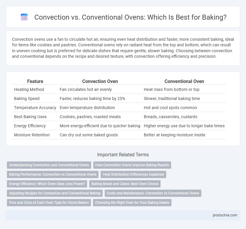 Convection vs. Conventional Ovens: Which Is Best for Baking?