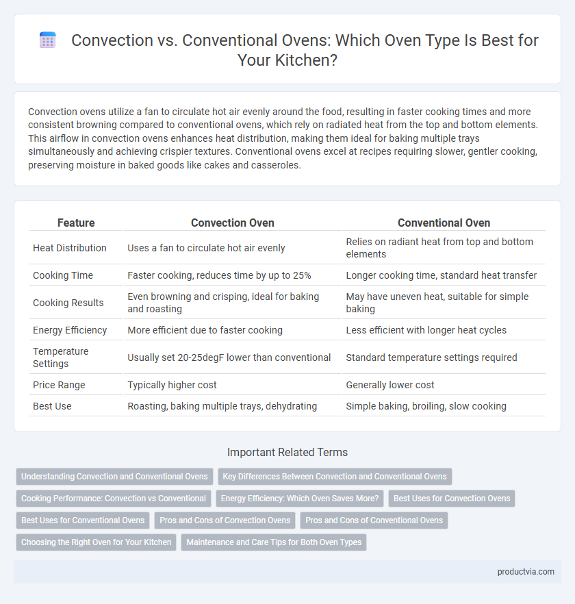 Convection vs. Conventional Ovens: Which Oven Type Is Best for Your Kitchen?
