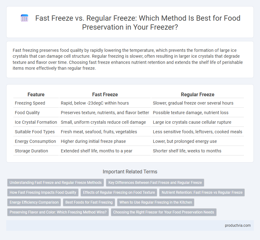 Fast Freeze vs. Regular Freeze: Which Method Is Best for Food Preservation in Your Freezer?
