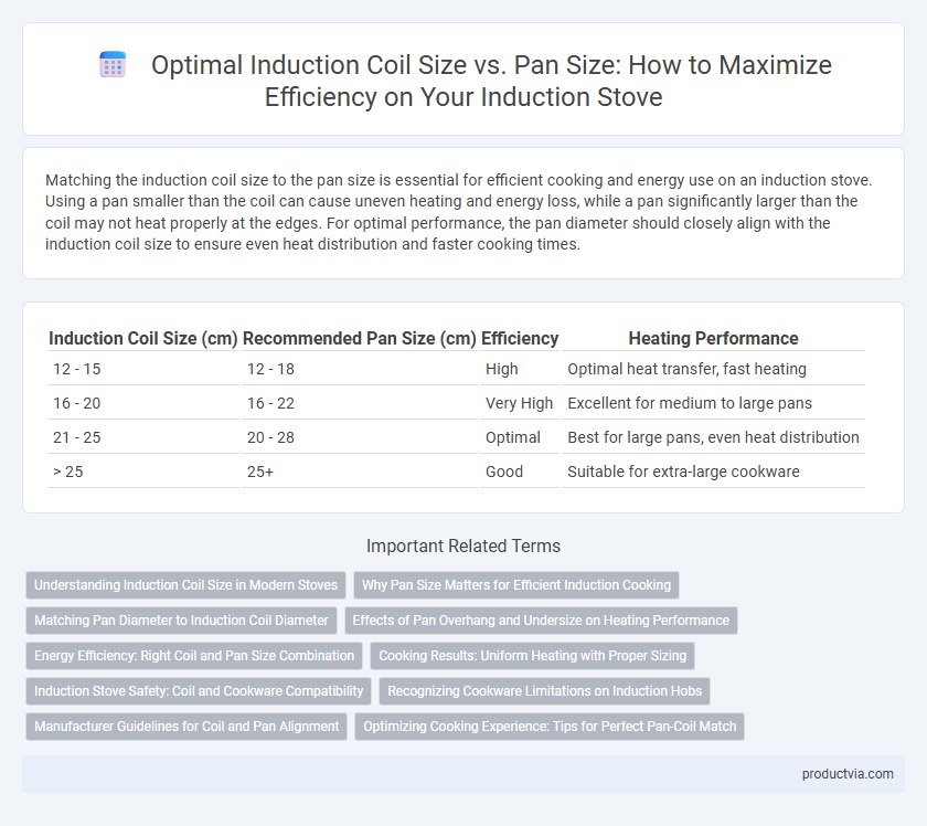 Optimal Induction Coil Size vs. Pan Size: How to Maximize Efficiency on Your Induction Stove