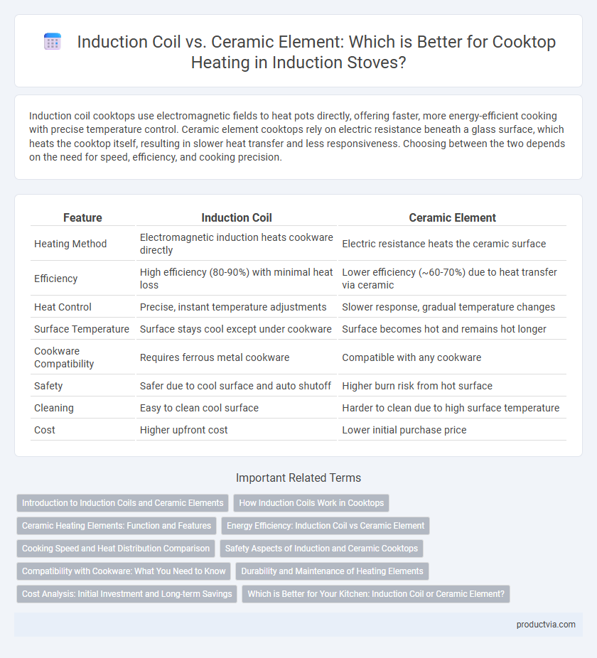 Induction Coil vs. Ceramic Element: Which is Better for Cooktop Heating in Induction Stoves?