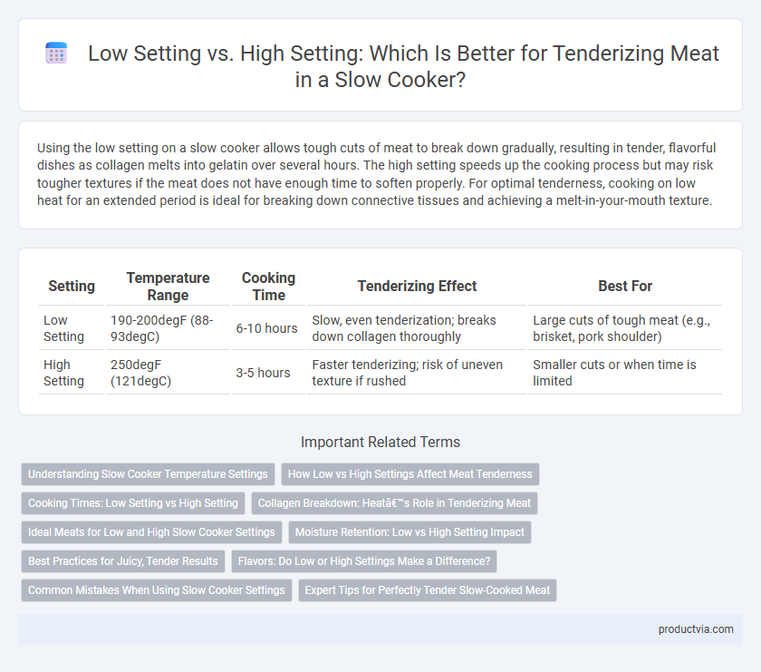 Low Setting vs. High Setting: Which Is Better for Tenderizing Meat in a Slow Cooker?