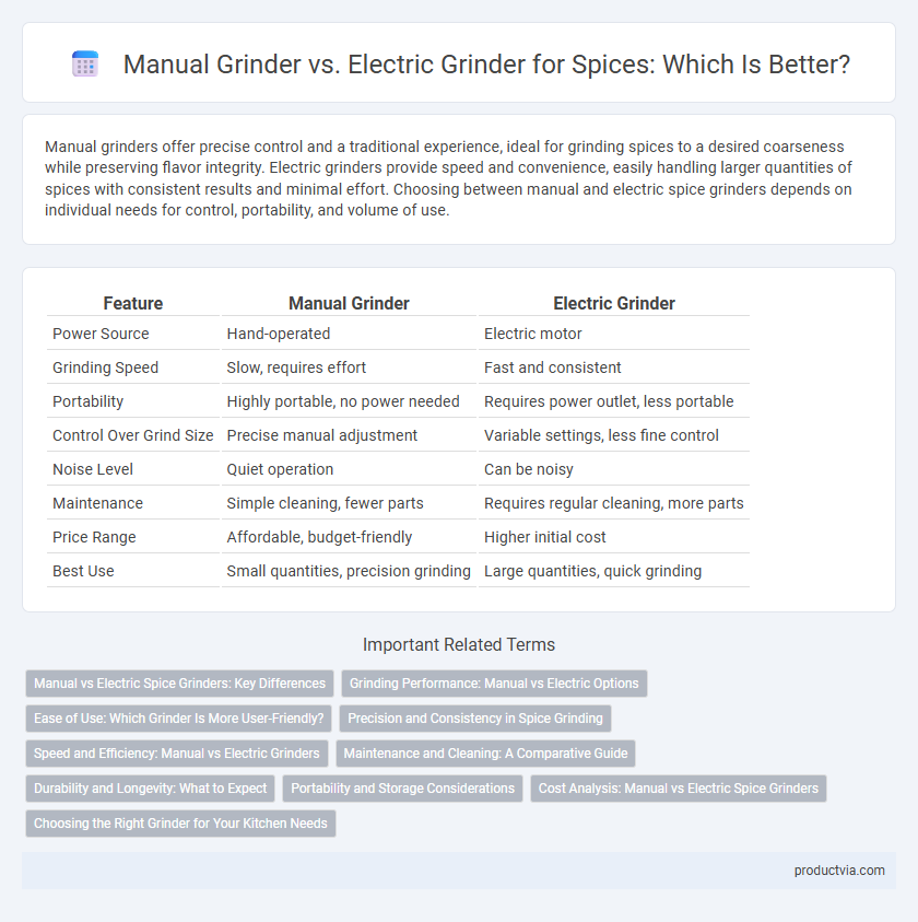 Manual Grinder vs. Electric Grinder for Spices: Which Is Better?