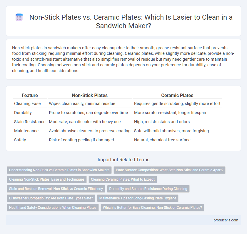 Non-Stick Plates vs. Ceramic Plates: Which Is Easier to Clean in a Sandwich Maker?