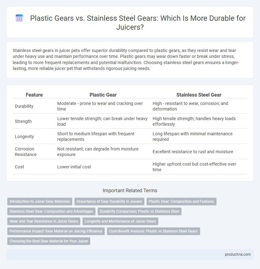 Plastic Gears vs. Stainless Steel Gears: Which Is More Durable for Juicers?