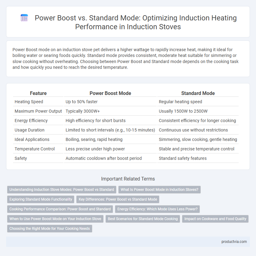 Power Boost vs. Standard Mode: Optimizing Induction Heating Performance in Induction Stoves
