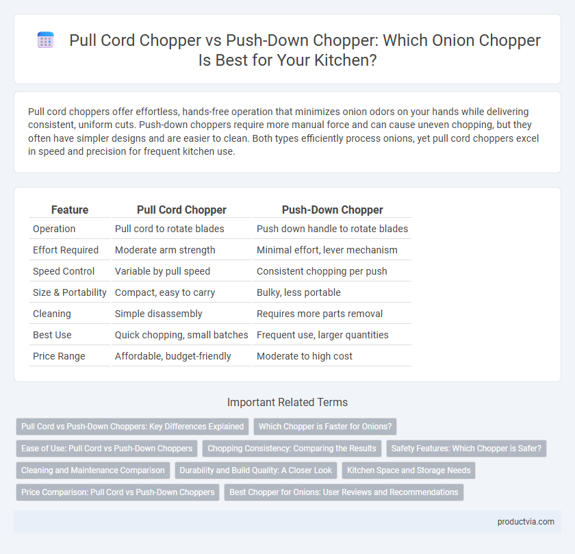 Pull Cord Chopper vs Push-Down Chopper: Which Onion Chopper Is Best for Your Kitchen?