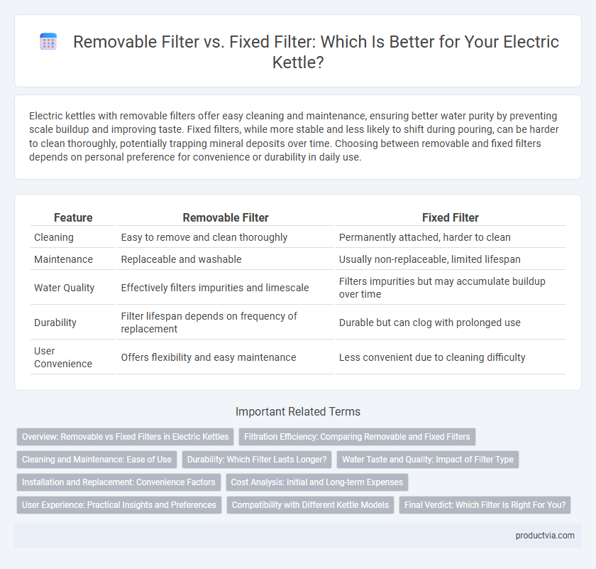 Removable Filter vs. Fixed Filter: Which Is Better for Your Electric Kettle?