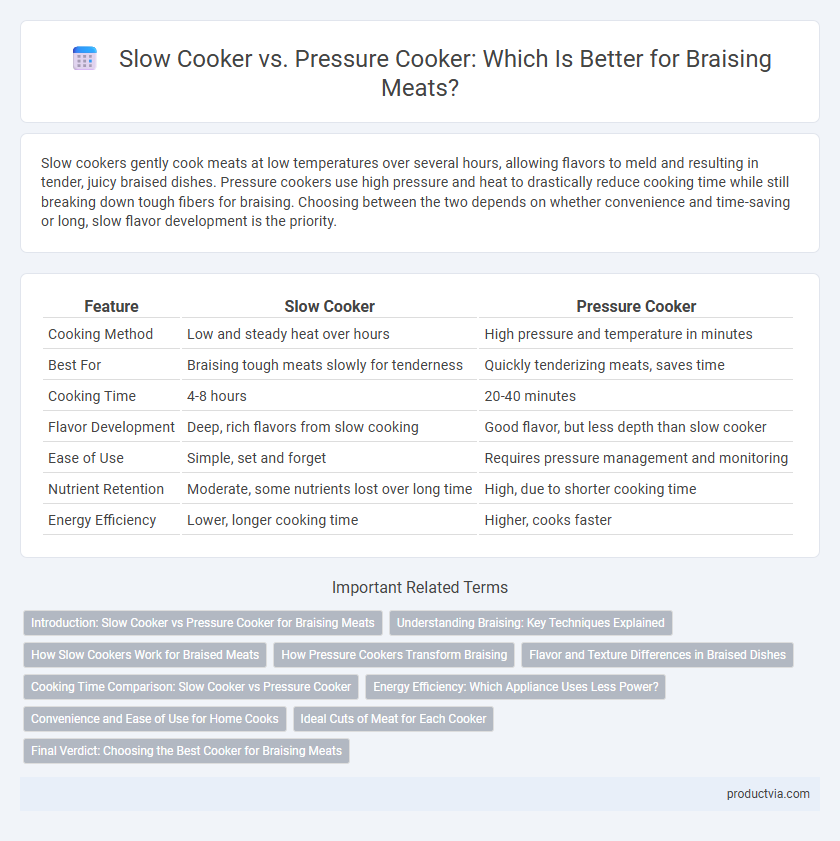 Slow Cooker vs. Pressure Cooker: Which Is Better for Braising Meats?