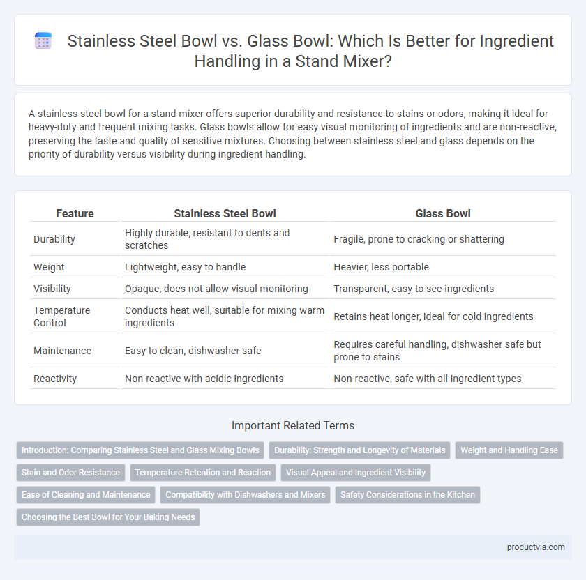 Stainless Steel Bowl vs. Glass Bowl: Which Is Better for Ingredient Handling in a Stand Mixer?