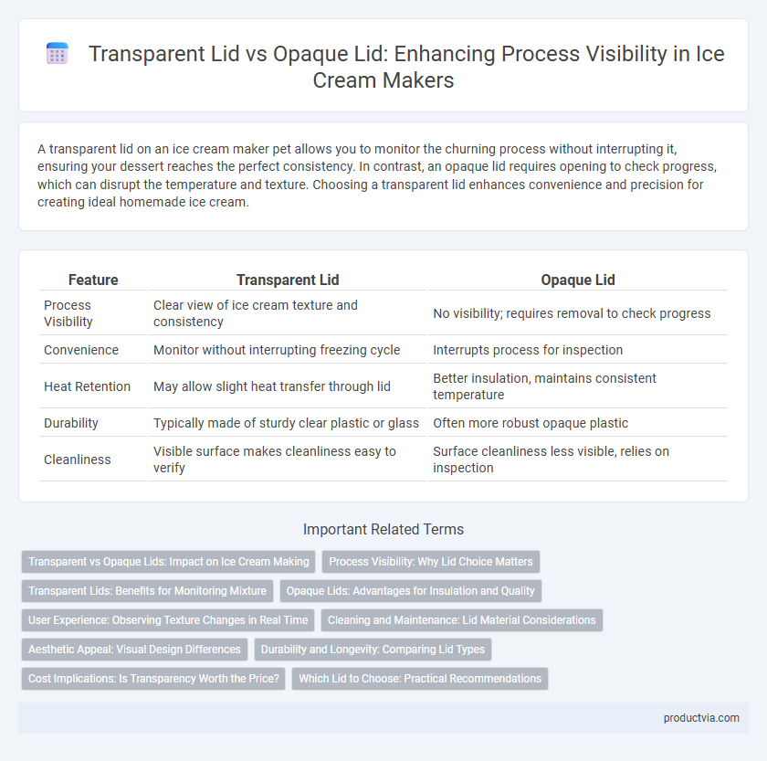 Transparent Lid vs Opaque Lid: Enhancing Process Visibility in Ice Cream Makers